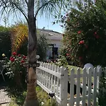Geko's House