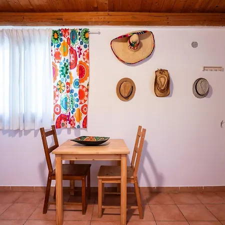 Geko's House Syracuse