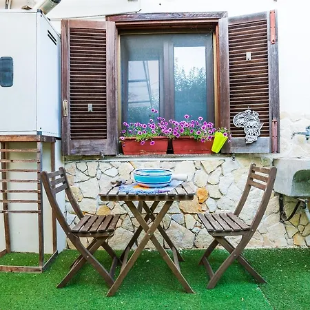 Geko's House Apartment