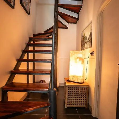 Geko's House * Syracuse