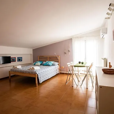 Geko's House Syracuse