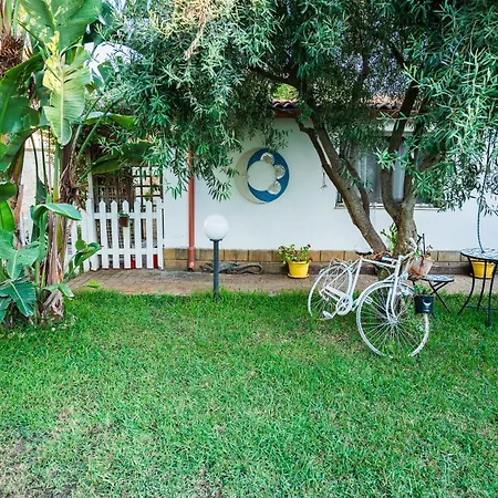 Geko's House * Syracuse