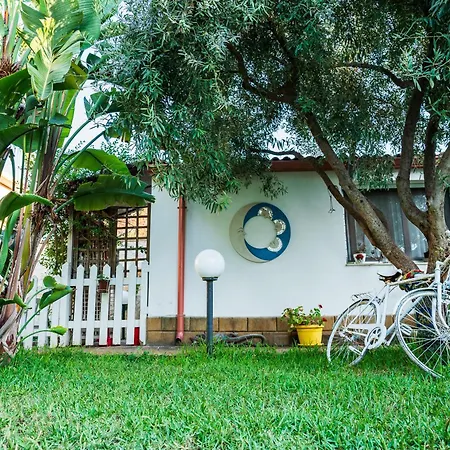 Apartment Geko's House Syracuse