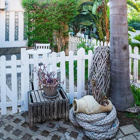 Apartment Geko's House