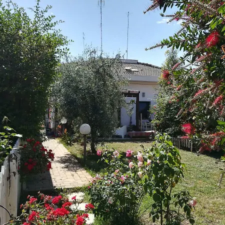 Apartment Geko's House *